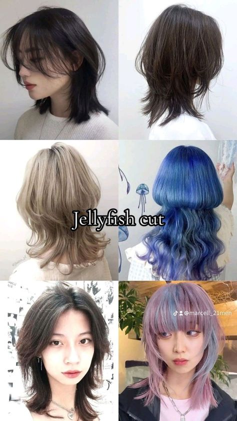 Jellyfish Haircut With Curtain Bangs, Jelly Fish Cut Short Hair, Soft Jellyfish Haircut, Jelly Haircut, Jellyfish Cut Hair, Haircut Jellyfish, Jellyfish Haircut X Wolf Cut Short, Jelly Fish Hair Cuts, Jellyfish Hairstyle