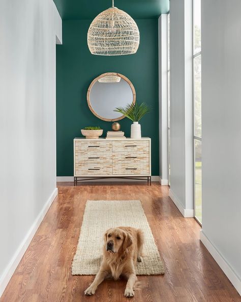 Behr Dark Everglade Bedroom, Dark Everglade Behr, Makeover House, Behr Paint, Feature Walls, Entryway Hallway, Paint Colour, Wall Ceiling, Rec Room