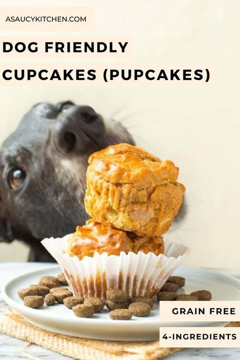 Celebrate your best friend with this single serving dog cupcake made with four canine-friendly ingredients. These 'pupcakes' are easy to make, grain-free and will make your pooch's day! | Gluten Free   Dairy Free Ginger Puppy, Dog Cupcake Recipe, Cupcakes Dog, Cupcakes For Dogs Recipe, Dog Cupcake, Peanut Butter Apple, Dog Cake Recipes, Dog Cupcakes, Dog Treats Grain Free