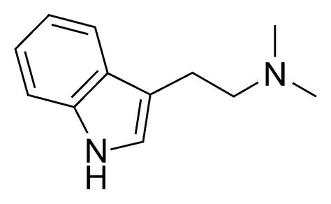 "DMT: The Spirit Molecule" One of the best documentaries that starts to explain everything.. #DMT #Spirit Dmt Molecule, Spirit Molecule, Auditory Hallucination, Molecule Tattoo, Perfect Human, Chemical Structure, Pineal Gland, Secrets Of The Universe, Connect The Dots