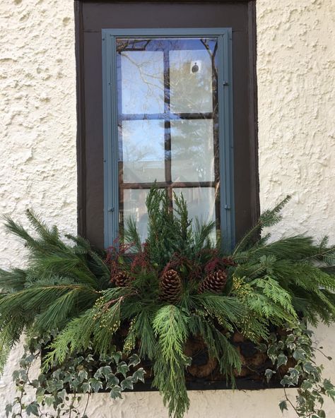 Holiday Window Box Ideas, Christmas Window Boxes Ideas, Winter Flower Boxes Window, Holiday Window Boxes, Christmas Window Box Ideas, Floral Arrangement Ideas, Winter Window Boxes, Christmas Window Boxes, Winter Flower Arrangements