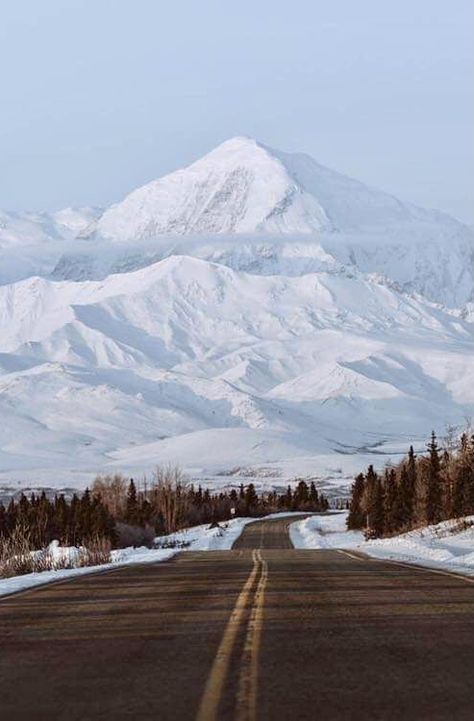 Winter Aurora Borealis, Mount Denali, Denali Alaska, Alaska Winter, Alaska Travel, Winter Vacation, Activities To Do, Pretty Places, Places Around The World