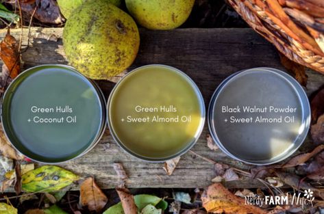 Walnut Tincture, Black Walnut Salve Recipe, Black Walnut Uses, Black Walnut Salve, Herbal Salves Recipes, Black Salve Recipe, Black Walnut Tincture, Black Walnut, Black Walnut Recipes