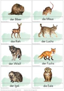 Zuordnungskarten Waldtiere – Zaubereinmaleins Shop Nature Projects, Winter Kindergarten, German Language Learning, Animal Projects, Woodland Party, German Language, Explore Nature, Working With Children, Learning Environments