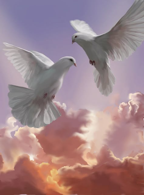 Doves - Doves Fan Art (31210562) - Fanpop Dove Images, Holy Spirit Dove, Dove Pictures, Dove Bird, White Dove, White Doves, Foto Art, White Bird, Bird Pictures