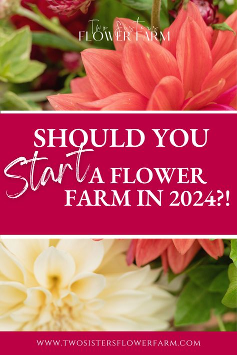 Curious about turning your passion for growing flowers into a business? In this post I break down the surprising reasons you should start a flower farm. And once you've decided flower farming is right for you, I share my best resources for how to start a flower farm! Growing Cut Flowers, Flower Farming, Cut Flower Farm, Backyard Farm, Flower Business, Flower Farmer, Backyard Farming, Wish You The Best, Flower Farm