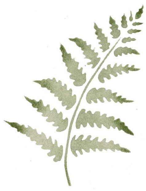 - az1 - walltowallstencils.com Fern Stencil, Green House Design, Mural Stencil, Leaf Stencil, Stencils Printables, Wall Stencils, Stencil Templates, Nature Drawing, Faux Stained Glass