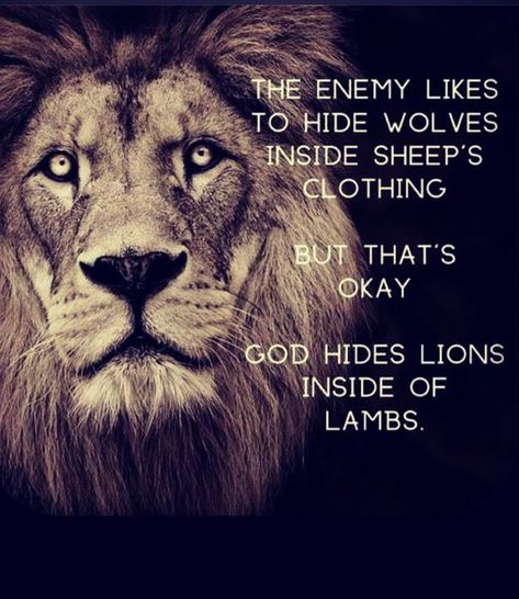 Bible Warrior Quotes, Lioness Protecting Her King, Christian Warrior Quotes, Lion Of Judah Jesus, Lion Quotes, Spiritual Warrior, Warrior Quotes, Inspirational Quotes God, Lion Of Judah