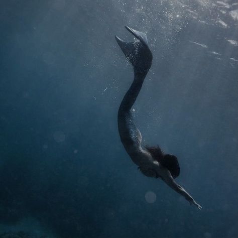 Mermaid Photography, H2o Mermaids, Siren Mermaid, Mako Mermaids, Mermaid Swimming, Water Nymphs, Real Mermaids, Mermaid Aesthetic, Mermaid Dreams