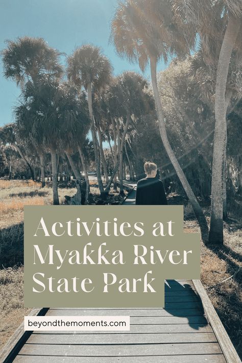 Activities at Myakka River State Park - Beyond The Moments Myakka River State Park, Florida Family Vacation, Tennessee Travel, Budget Friendly Travel, River Park, North America Travel, Florida Travel, Boat Tours, America Travel