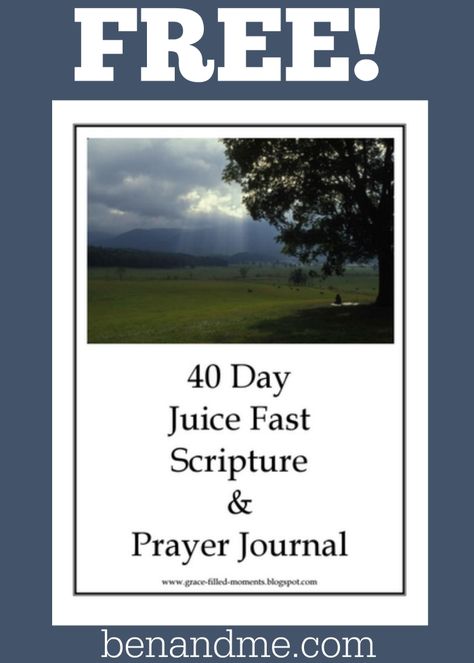 40 Day Juice Fast Scripture & Prayer Journal {Free Printable} Juice Fast Results, 60 Day Juice Fast, Juice Fast Recipes, Journal Free Printable, 40 Day Fast, Juice Cleanse Recipes, Raw Juice, Lemon Drink, Green Juice Recipes