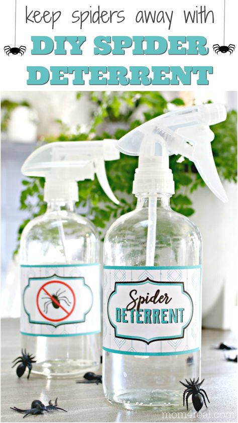 This 3 ingredient homemade spider deterrent spray and option for spider killer will keep spiders out of your home, and will leave a pleasant smell behind too! Leave the chemical filled store bought bug sprays where they are and make this non-toxic version with essential oils instead! Bonus...these free printable labels are included too! Homemade Spider Spray, Spider Deterrent, Spiders Repellent Diy, Spider Repellent, Spider Spray, Spider Killer, Repellent Diy, Spiders Repellent, Homemade Bug Spray