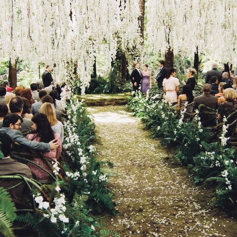 Wedding Twilight, Bella And Edward Wedding, Breaking Dawn Wedding, Asian Wedding Decor, Ballroom Wedding Reception, Twilight Wedding, Opulent Wedding, Forest Theme Wedding, Fun Wedding Decor