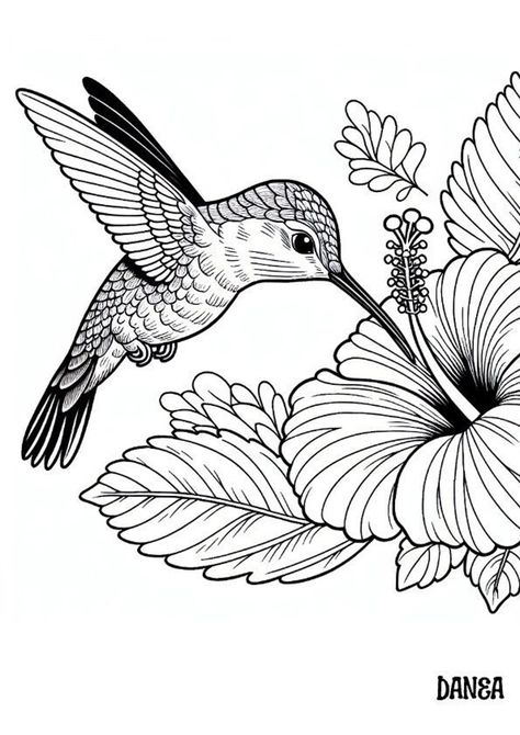 HUmmingbird Eating Out Of A Hibiscus Coloring Page How To Draw A Hummingbird Easy, Hummingbird Pattern Free Printable, Friendship Coloring Pages, Drawing Hummingbirds, Hummingbird Coloring Pages, Colouring In Pictures, Hummingbird Printable, Birds Coloring Pages, Hummingbird Artwork