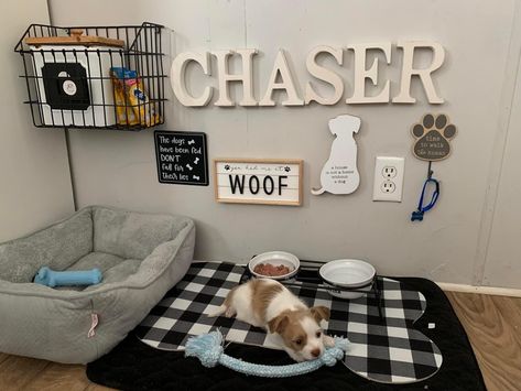 Dog Set Up Ideas In Bedroom, Dog Area In Bedroom Ideas, Doggie Corner Ideas In Living Room, Dog Bedroom Decor Ideas, Dog Areas In House Small Living Room, Dogs Corner Ideas, Dog Set Up In Bedroom, Puppy Corner Ideas In Bedroom, Puppy Area Indoor Apartment