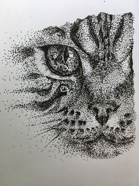 Pointillism Cat Pointillism Drawing, Pointalism Art, Drawing With Pencil, Dotted Drawings, Tattoo Dotwork, Pen Art Work, Gold Art Painting, Stippling Art, Pen Art Drawings