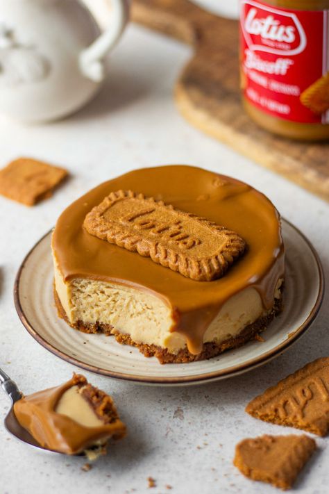 Biscoff Cheesecake Aesthetic, Bake With Shivesh, Biscoff Aesthetic, Small Cheesecake, Cheesecake Aesthetic, Small Cheesecake Recipe, Small Cheesecakes, Yummy World, Eggless Chocolate Cake