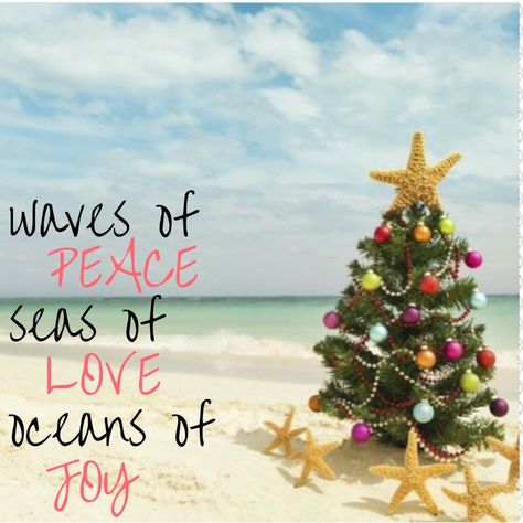 Tropical Merry Christmas, Merry Christmas Beach Images, Beach Christmas Wallpaper, Beach Christmas Quotes, Christmas By The Sea, Beach Christmas Photoshoot, Christmas Beach Photoshoot, Christmas Beach Photos, Beach Christmas Pictures