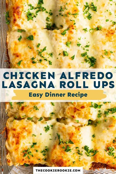 Recipes With Lasagna Noodles Roll Ups, Chicken Spinach Lasagna Rolls, Lasagna Rolls Alfredo, Chicken Alfredo Roll Ups, Chicken Alfredo Lasagna Roll Ups, Alfredo Lasagna Rolls, Alfredo Lasagna Roll Ups, Chicken Lasagna Roll Ups, Dinner Classics