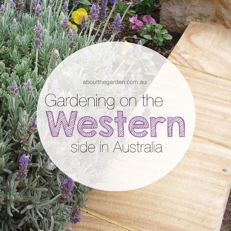 Gardening on the Western Side in Australia Tasmanian Native Garden, Rural Australian Native Garden, Garden Ideas Australia, Native Australian Garden Wa, Perth Gardens Western Australia, West Facing Garden, Country Garden Design, Bush Garden, Dig Gardens