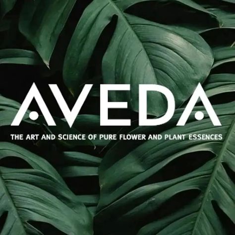 As founders of Seren, we've loved Aveda for years and we are proud to share it with you. Aveda is a haircare brand that truly delivers. When you try their elegantly scented products, you can actually feel the difference. Your hair, no matter the type, color, dyed or natural, feels so much healthier and fuller. Aveda is a vegan brand with formulas 90% derived from natural ingredients. Plus, they were the first beauty company to use 100% post-consumer recycled PET, helping to fight global... Aveda Hair, Beauty Companies, Vegan Brands, Hd Movies, You Tried, Natural Ingredients, Hair Care, Essence, Matter