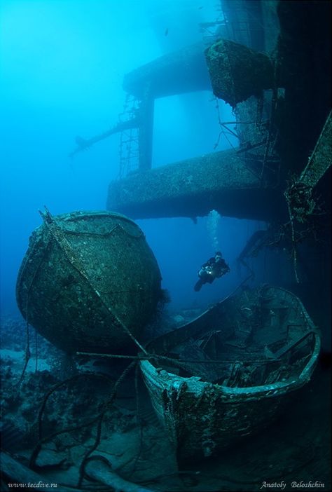 wreck diving Underwater Shipwreck, Underwater Ruins, Sunken Ships, Middle Of The Ocean, Ship Wreck, Old Ship, شرم الشيخ, Fauna Marina, Under The Water