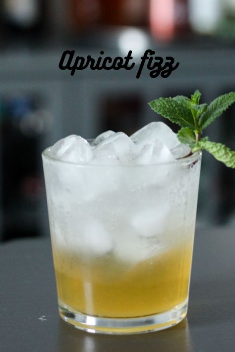 Apricot Brandy Drinks, Apricot Brandy Cocktails, Brandy Sour, Brandy Drink, Apricot Brandy, Fizz Cocktail, Brandy Cocktails, Baileys Recipes, Sour Foods