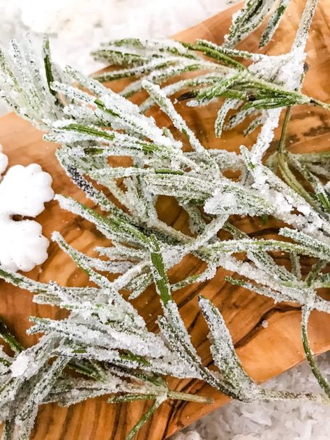 Sparkling Rosemary (Sugared Rosemary) is a beautiful holiday garnish for desserts and cocktails. Great for Christmas and winter parties. #rosemary #christmascocktails #wintercocktails #winterwonderland Frosted Rosemary Sprigs, Sugar Rosemary Sprigs, Rosemary Themed Party, Olive Garden Tuscan Soup, Candied Rosemary, Frosted Rosemary, Sugared Rosemary, Copycat Olive Garden Zuppa Toscana, Copycat Olive Garden Zuppa