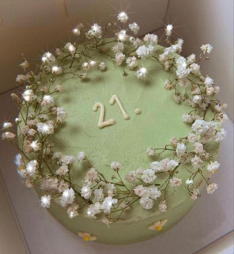 March Birthday Party Ideas, Sage Green Cake, 21st Bday Cake, Comic Cake, Green Birthday Cakes, Amazing Cake Decorating, Birthday Cake Roses, 15th Birthday Cakes, 21st Bday Ideas