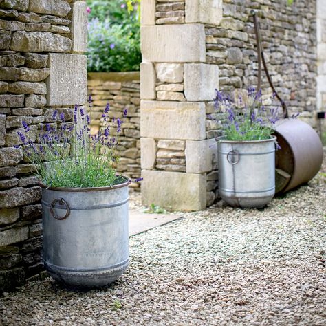 Milk Bottle Holder, Large Garden Planters, Antique Planter, Rectangular Planters, Vintage Styling, Garden Services, Gardening Apron, Metal Planters, Large Planters