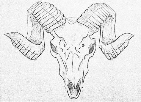 Rams Horns Drawing, Rams Skull Drawing, Ram Horns Drawing, Ram Skull Drawing, Deer Skull Drawing, Skull Side View, Rams Horns, Grass Drawing, Zombie Drawings