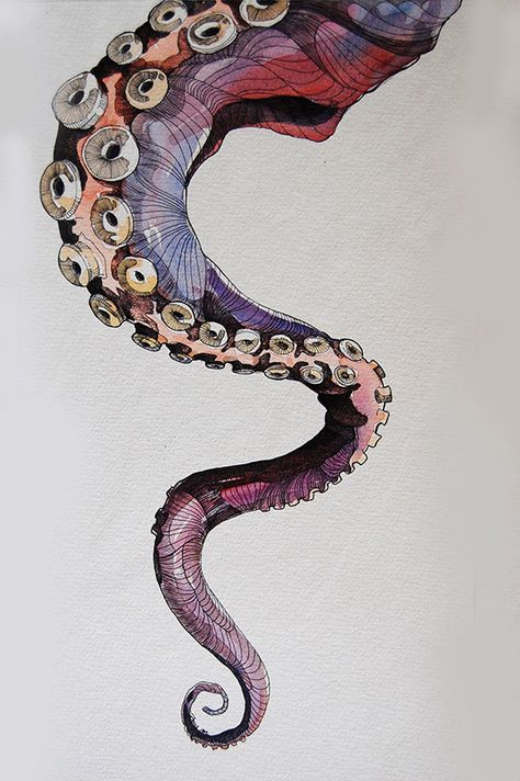 Animals Tattoo, Octopus Tattoo, Octopus Art, Kunst Inspiration, Arte Sketchbook, Art Plastique, Art Sketchbook, Painting Inspiration, Animal Drawings