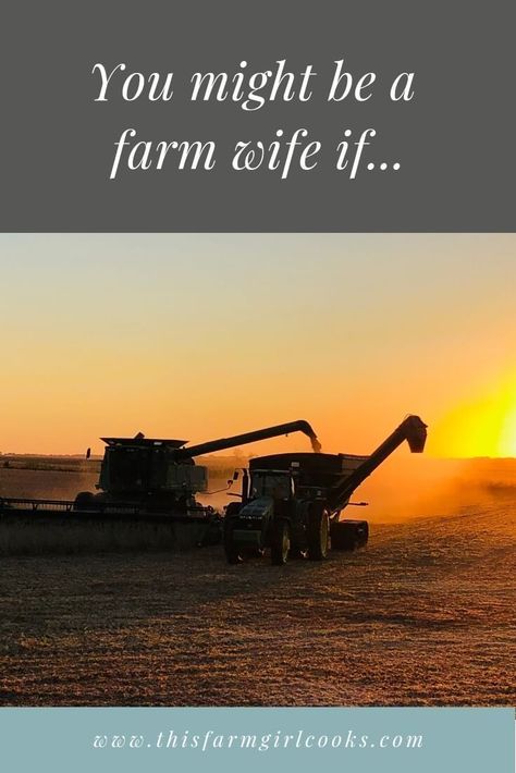 This is for all the ladies in agriculture and farming! You might be a farm wife if....#farmwife #farmlife Farm Wife Quote, Farmers Wife Quotes, Farm Quotes Funny, Farm Quotes Agriculture, On The Go Lunch Ideas, Harvest Quotes, Farm Wife Life, Harvest Meals, Farm Life Quotes