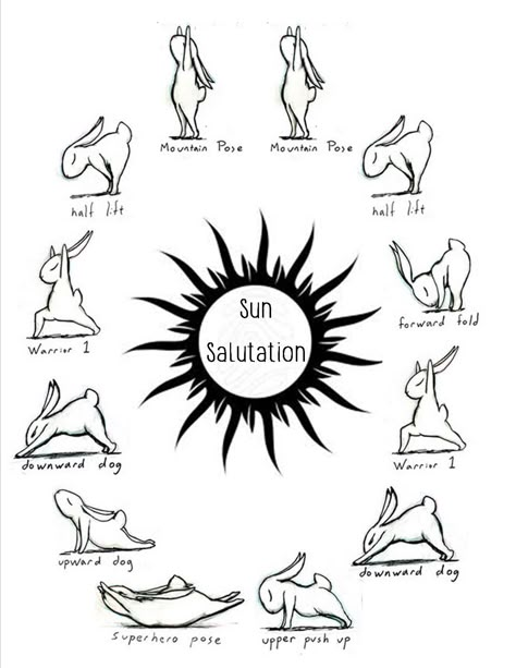 Sun Salutation: Demonstrated by Bunnies Art:Brian Russo http://bunnyoga.com/index.html Goes Clockwise Bunny Yoga, Yoga Relaxation, Yoga Girls, Sup Yoga, Kids Yoga, Yoga Love, Yoga Outfit, Pose Yoga, Easy Yoga Workouts