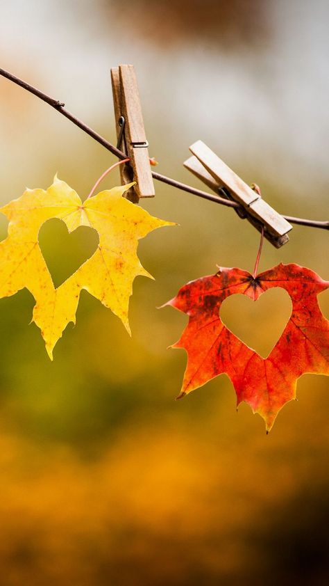 Heart In Nature, Airbrush Art, Autumn Beauty, Fall Pictures, Romantic Valentine, Autumn Aesthetic, Fall Wallpaper, Fall Photos, Autumn Photography