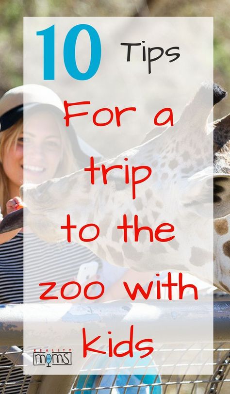 Going To The Zoo Outfit, What To Wear To The Zoo Outfits, Building Connection, Meadow Cottage, Zoo Outfit, Zoo Trip, Staycation Ideas, Mom Things, Kids Zoo