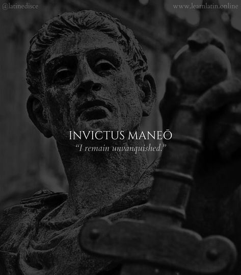 Latin Quotes About Life, Latin Phrase Tattoos, Latin Proverbs, Learn Latin, Roman Quotes, Latin Quotes, Stoicism Quotes, Latin Phrases, Stoic Quotes