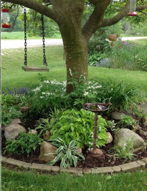 Landscape Edging Stone, Plants Under Trees, Landscaping Around Trees, Front Yard Design, Landscape Edging, Have Inspiration, Fall Outdoor Decor, Landscaping Tips, Landscaping With Rocks