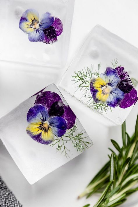 How to make floral ice cubes.    #selbermachen #Eiswürfel #Sommer Infused Ice Cubes, Fancy Ice Cubes, Floral Ice Cubes, Flower Ice Cubes, Flavored Ice Cubes, Fancy Ice, Fancy Desserts Recipes, Edible Flowers Recipes, Cube Cake