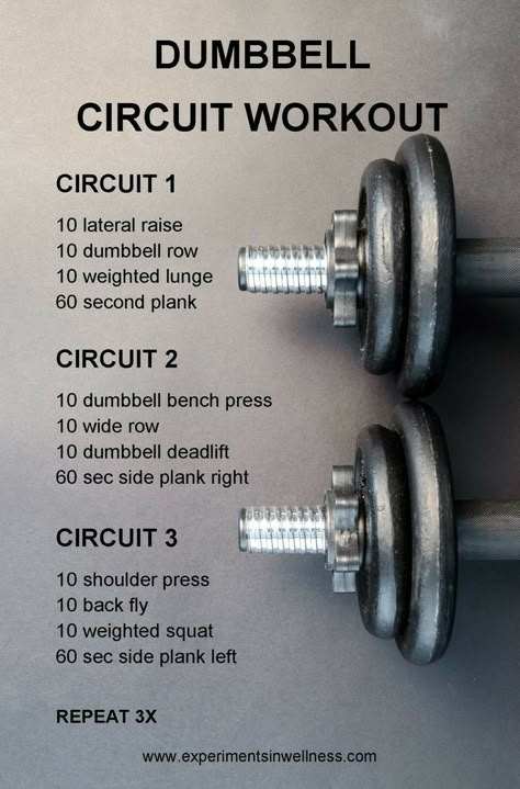 Dumbbell Circuit Workout, Dumbbell Workout Routine, Wods Crossfit, Full Body Dumbbell Workout, Dumbbell Workouts, Dumbell Workout, Interval Workout, Tabata Workouts, Daily Workouts