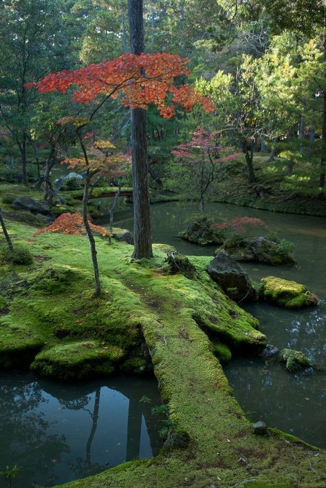 Saiho-ji Zen Garden in Kyoto Japan: A pink photoshopped version of a similar pictures is making it's way around the web with the caption Bridge Park Ireland. Description from pinterest.com. I searched for this on bing.com/images Japanese Garden Ornaments, Moss Covered, Moss Garden, Japanese Gardens, Kyoto Japan, Alam Yang Indah, Garden Ornaments, Zen Garden, Nature Aesthetic