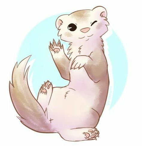 Ferret Drawing, Interesting Tattoos, I Love To Read, Miss Us, Cute Ferrets, Cute Kawaii Animals, Animal Doodles, Mythical Animal, Cute Animal Drawings Kawaii