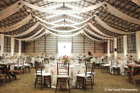 Reception Ceiling, Shed Wedding, Wedding Ceiling, Barn Wedding Reception, Country Barn Weddings, Metal Barn, Colorado Wedding Venues, Country Barn, Rustic Barn Wedding