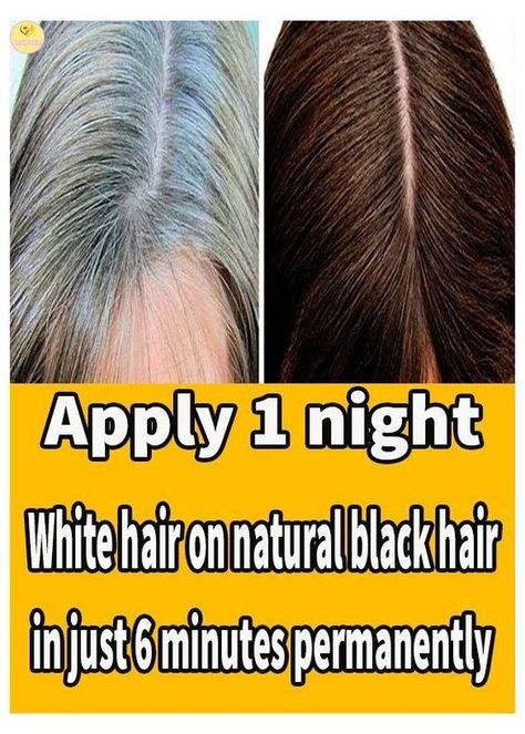 white hair to black permanentlly in 6 minute Grey Hair Natural Remedy, White Hair Solution, Grey Hair Home Remedies, Cover Gray Hair Naturally, Remedy For White Hair, Gray Hair Solutions, Grey Hair Remedies, Black And Grey Hair, Grey Hair Dye