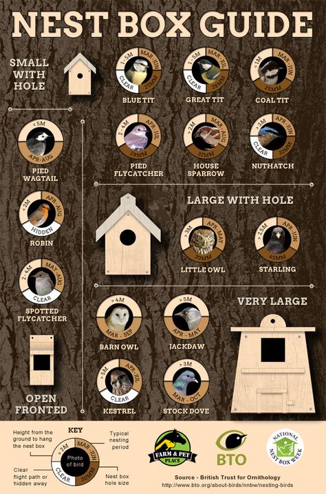 Nest Boxes, Homemade Bird Houses, Bird Houses Ideas Diy, Bird House Feeder, Nest Box, Bird House Plans, Diy Birds, Bird Houses Diy, Wildlife Gardening