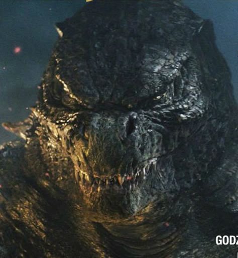 Legendary Godzilla, Angry Look, Big Lizard, Godzilla Monsterverse, King Kong Vs Godzilla, Godzilla And Kong, Kong Skull Island, Godzilla Movie, Godzilla 2014