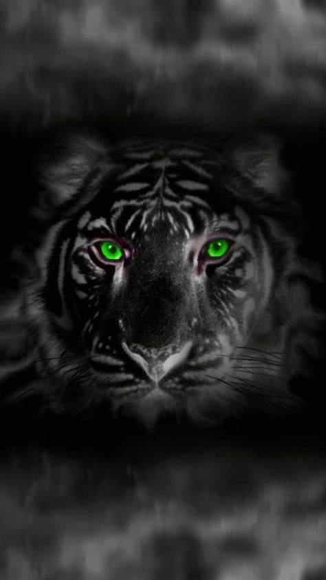 Download tiger black Wallpaper by dathys - 7b - Free on ZEDGE™ now. Browse millions of popular black Wallpapers and Ringtones on Zedge and personalize your phone to suit you. Browse our content now and free your phone Tiger Green Eyes, Green Tiger Eye, Tiger Wallpaper, Tiger Pictures, Black Tiger, Kinds Of Cats, Wallpaper Android, Black Tigers, Tiger Art