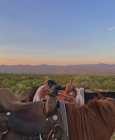 Cowboy Aesthetic, Western Life, Cowgirl Aesthetic, Horse Aesthetic, Western Aesthetic, Ranch Life, Horse Life, Horse Girl, The Grass