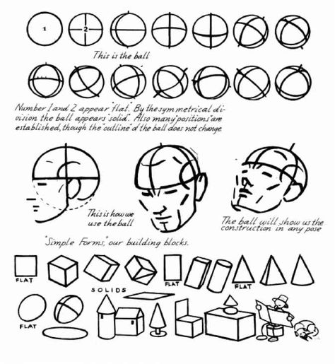 Andrew Loomis Method, Butterflies Classroom, Andrew Loomis, Manga Tutorial, Drawing Heads, Ink Brush, Basic Drawing, Comic Drawing, Animation Tutorial