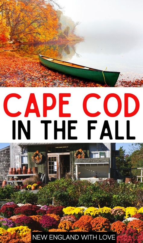 Cape Cod Fall, Things To Do In 2023, Cape Cod Towns, Cape Cod Travel, Fall Foliage Trips, Cape Cod Vacation, Massachusetts Travel, New England Road Trip, Cape Cod Ma